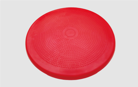 4003 Dog Balance Disc